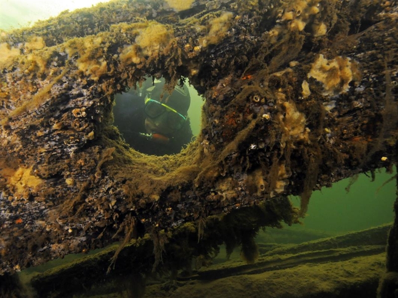 undervattensbild av dykare vid skeppsvrak