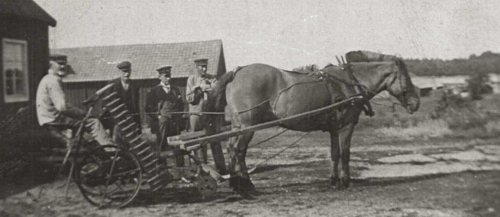 svart vitt fotografi, där fyra män står bakom en häst som har en slåttermaskin efter sig, tagen på Limön, Gävle