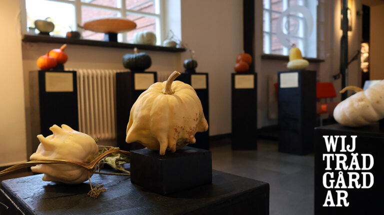 Utställning med pumpor av Wij Trädgårdar på Länsmuseet Gävleborg